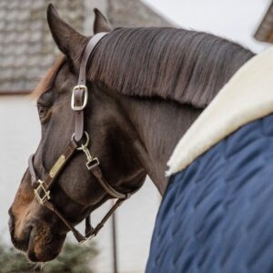 Stable rug comfort 100g