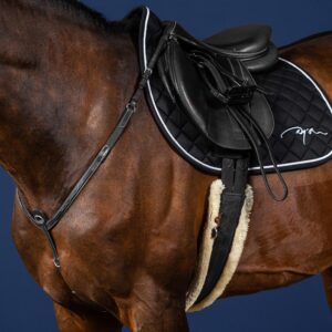 Breastplate