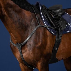 Long Bridge Breastplate