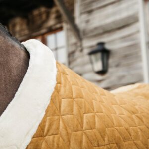 Show rug Velvet