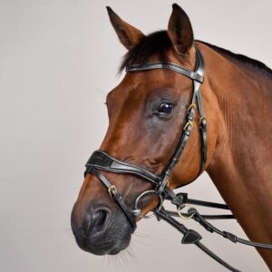 D Motion Bridle