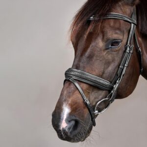 Plaited Flash Noseband Bridle with Pull back