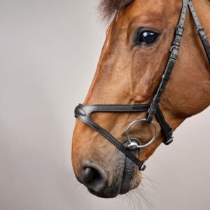 X-Fit Bridle