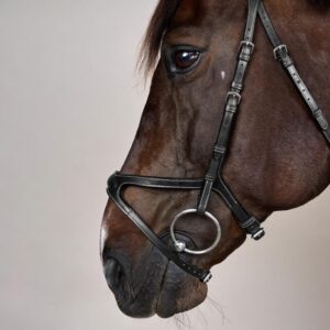 X-Fit Bridle
