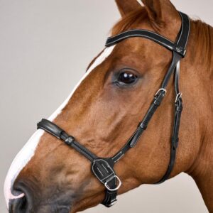 Dyon Bitless Bridle