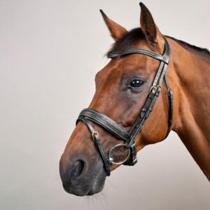 Plaited Flash Noseband Bridle with Pull back