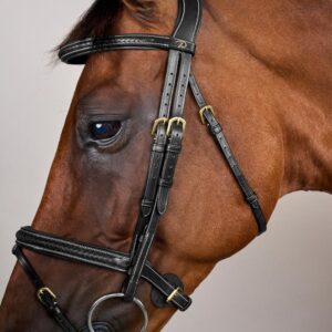 Plaited Flash Noseband Bridle