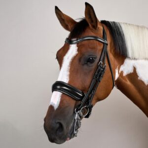 Matte Large Crank Noseband Double Bridle