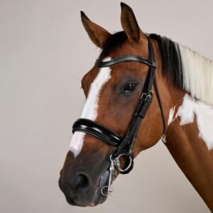 Patent Large Crank Noseband Double Bridle