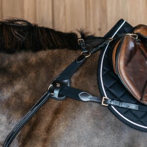 5 points Breasplate protection pad