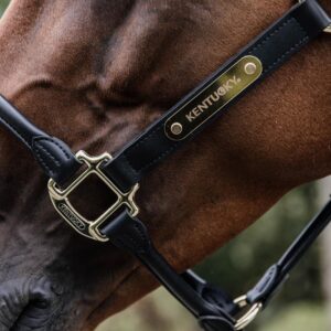 Name/Logo plate Halter gold