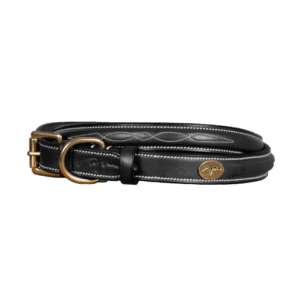 Fancy Dog Collar
