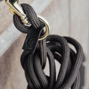 Lunge rope