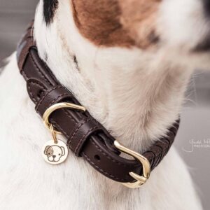 Dog collar triangle