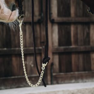 Lead rope loop