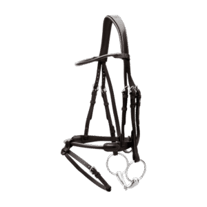 Round Leather Bridle