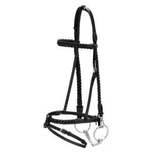 Plaited training bridle