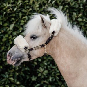 Leather halter sheepskin