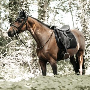 Saddle Pad pearls