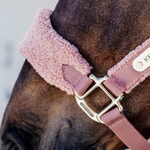 Teddy Fleece halter