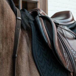 Saddle Pad fishbone competiton