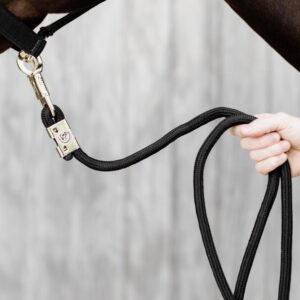 Lead rope panic hook