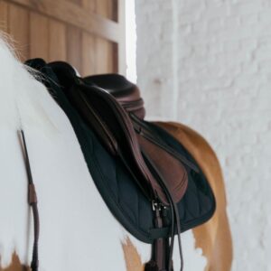 Saddle Pad wave 3d logo