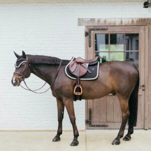 Fly veil Wellington with plaited cord