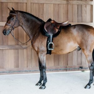 Saddle Pad Hunter vegan sheepskin jumping