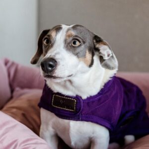Dog coat original