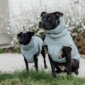Dog coat winter Pina