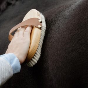 Overall Brush body soft shine