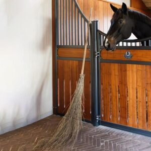 Bamboo broom