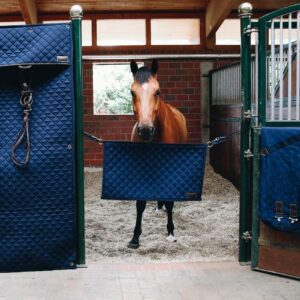 Stable guard
