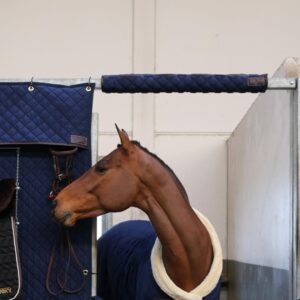 Head protector