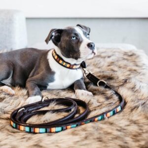 Dog lead handmade pearls
