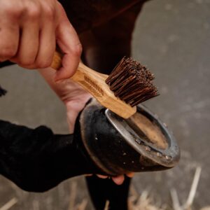 Hoof pick