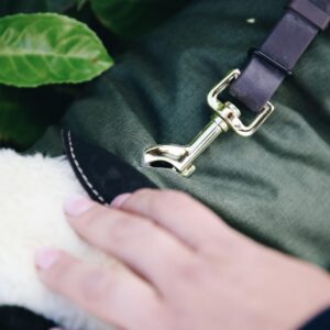 Dog coat waterproof