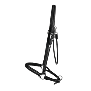 Grooming Head Collar