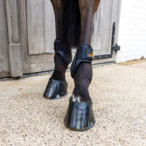Young Horse fetlock boots Classic