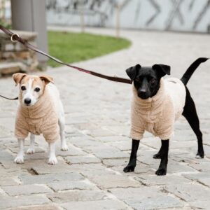 Dog sweater teddy fleece