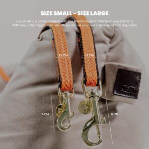 Plaited Nylon dog lead size S