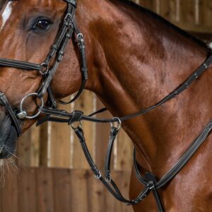 Running Martingale Attachment